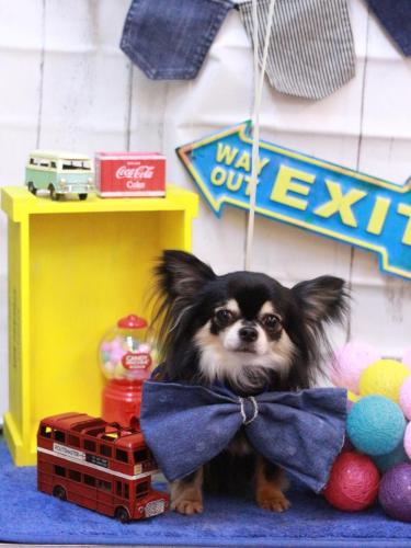 20230423アリューくん